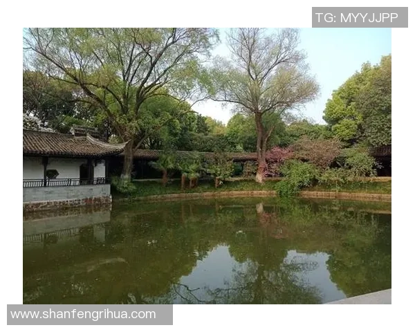 德雷森：咱们在和那些不需要为钱忧愁的沙龙竞赛，但这很好